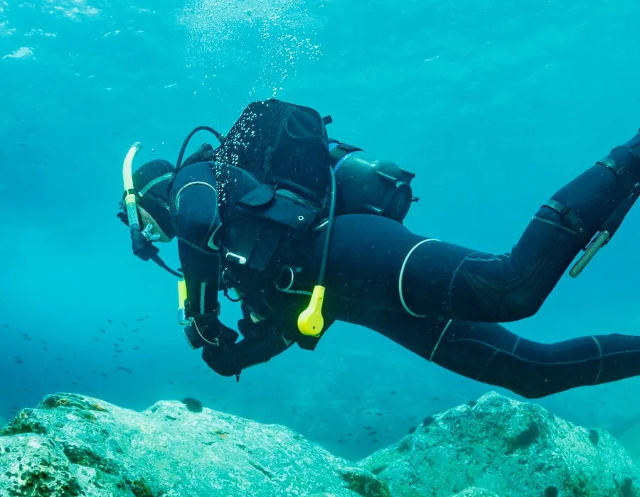 PADI Courses