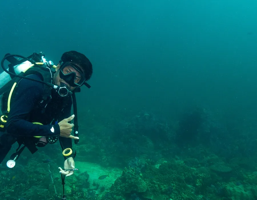 Guided Dive Trips